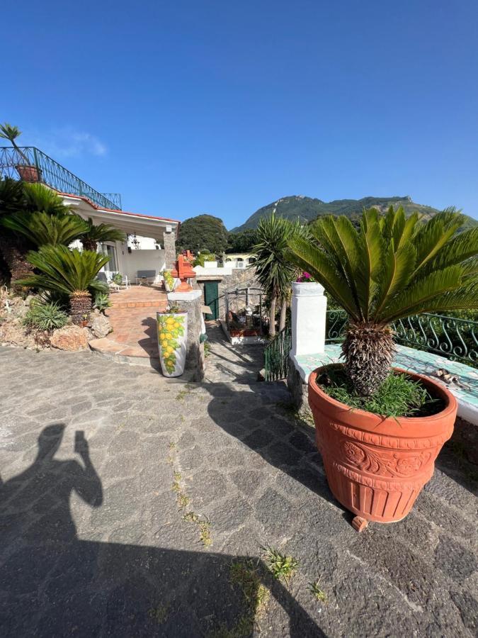 Blu Panorama Bed & Breakfast Forio  Exterior photo